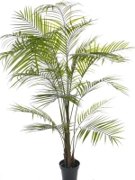 Arecapalm 190cm, UV bestendig